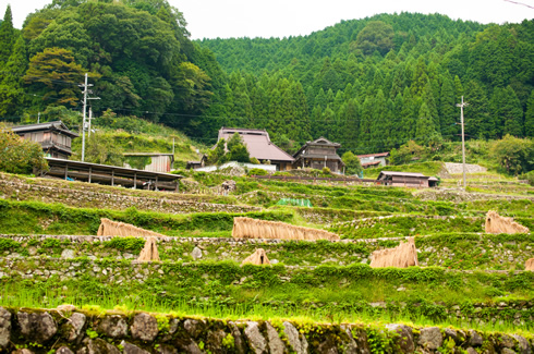 北播磨地域に根差した教室